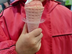 -CORNER CONE GELATO酷矿手作霜淇淋(南头古城店)
