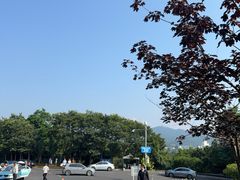-棒棰岛宾馆景区