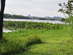 -长广溪湿地公园
