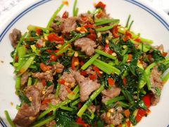 -壹盏灯(惠农店)