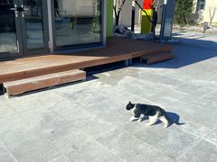 -窦店服务区-停车场