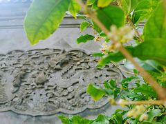 -颐和园