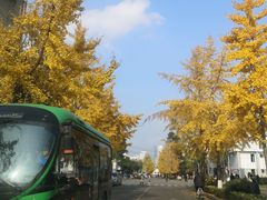 -四川大学(望江校区)