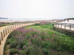 -东疆建设开发纪念公园