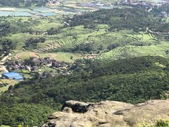 -大姆山草场