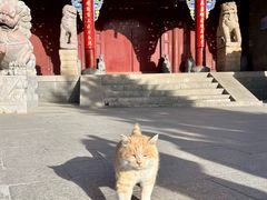 -五台山风景名胜区