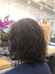 -曼都发型·臻选