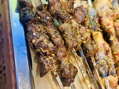 秦川黄牛肋排肉筋-叁宝烤肉·西安烧烤(东三爻店)
