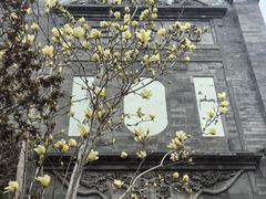 -爆肚冯(廊房二条店)
