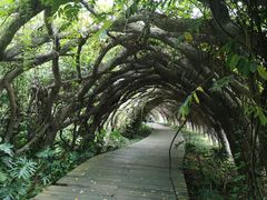 -广西壮族自治区药用植物园