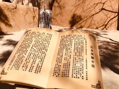 -延安杨家岭革命旧址