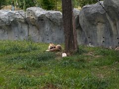 -祥源·阜阳生态乐园