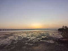 -宝安西湾红树林湿地公园