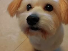 -畜牧兽医站(共江路店)