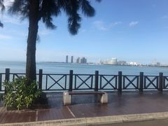 -万绿园