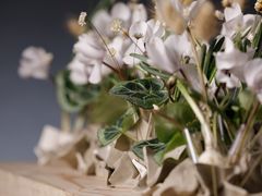 -荷兰布尔玛国际花艺学院