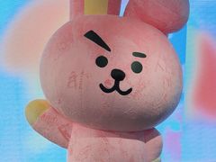 -line friends(明洞旗舰店)