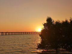 -宝安西湾红树林湿地公园