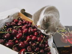 -上海龙吴水胜海发市场