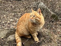 -终南山南五台景区