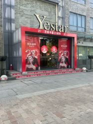 -Yestar 嘉兴艺星医疗美容医院