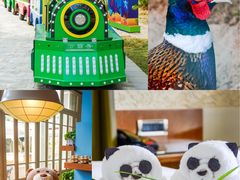 -三亚海棠湾万丽度假酒店