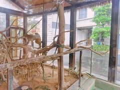 -灵玲国际马戏城