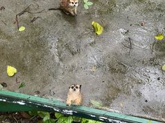 -呀诺达热带雨林
