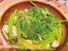 虾酱嗜通心菜-煲煲好(朝阳门店)