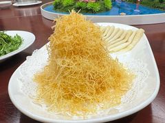 -丁老爷子苏香圆