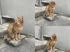 -上海城隍庙