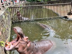 -海南热带野生动植物园