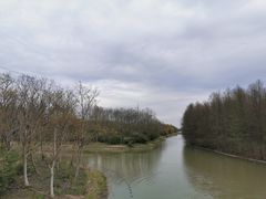 -上海海湾国家森林公园