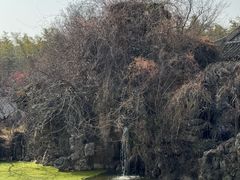 -木子山庄·安徽省老字号·中国炖锅宴