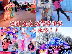 -沈阳奥体冰雪嘉年华