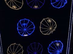 -咕嘟草帽鱼·牛奶一样的鲜鱼汤(包河万达广场创始店)