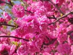 -长春公园(普阳街道)