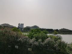 -立新湖公园