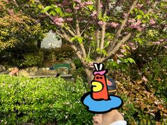 -郑州银基国际旅游度假区