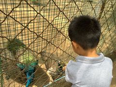 -草根堂农场