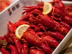 -虾皇(龙虾城旗舰店)