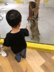 点击看大图 -七巧国萌宠乐园(龙湖天街店)