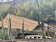 -MOJ coffee(瓯海泽雅水碓坑店)