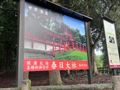 -奈良公园