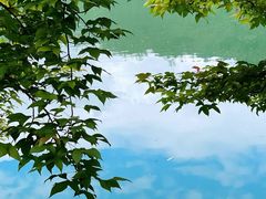 -仙店农庄(湖景农庄餐厅)