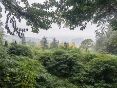 -凤栖山