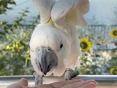 -水上乐园·欢乐世界