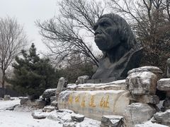 -周口店北京人遗址公园