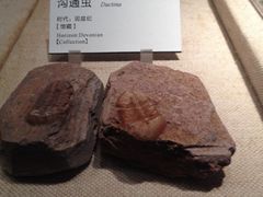 -二沙岛-广东华侨博物馆