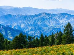 -驼梁风景区